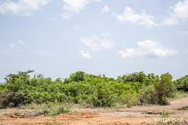 Afienya (Luxury City ) Estate Land on Sale