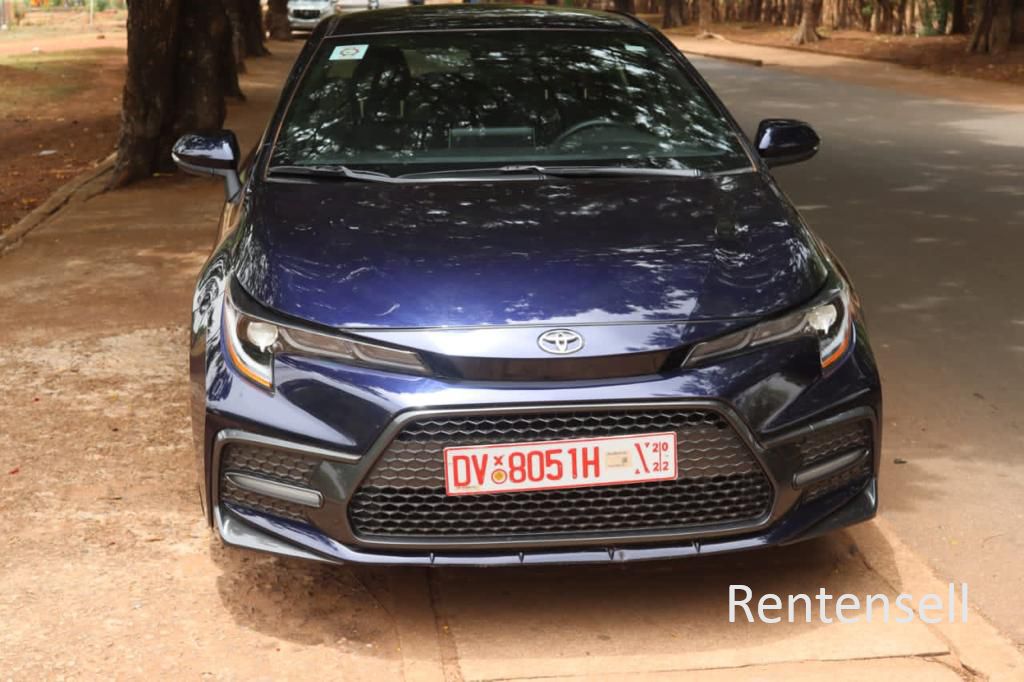 Corolla SE 2020 model