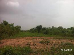 Afienya (Luxury City ) Estate Land on Sale
