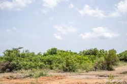 Afienya (Luxury City ) Estate Land on Sale
