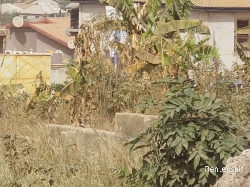 Land at the road side for sale 